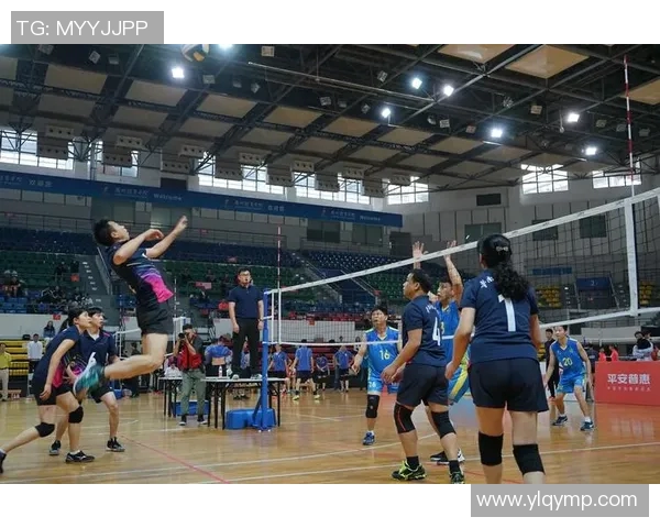 重庆排球队比赛经验分析与数据解读助力球队提升竞技水平