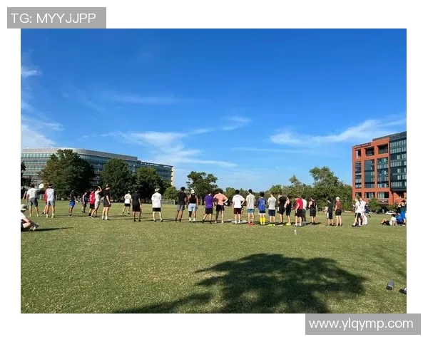 陈伟独家分享飞盘技巧与心得体会助你提升飞盘水平的全面指南