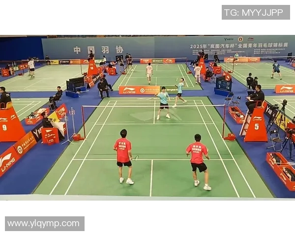 重庆羽毛球队中路突破的成败分析与未来发展展望